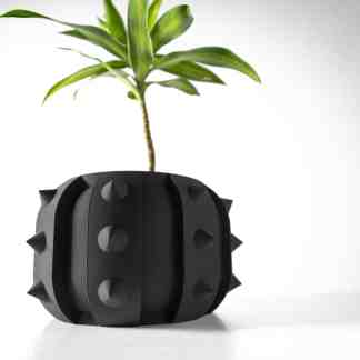 A modern, black 3D printed planter with spikes designed for plant growth and decor.