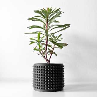 Stylish green houseplant in black textured planter, ideal for modern interior decorations.