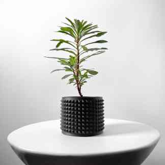 Custom 3D-designed black geometric planter showcasing innovative 3D printing technology.