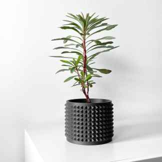 Realistic 3D plant rendering in a black textured flower pot, perfect for contemporary interior design.