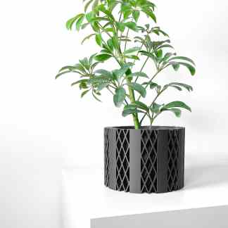 Indoor plant in unique black geometrical pot for modern home or office decor.