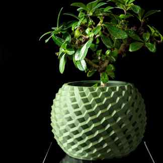 Vibrant green plant in 3D textured geometric pot, showcasing eco-friendly design and modern aesthetics.