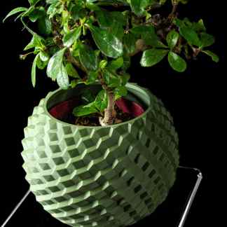 Close-up of a lush, green bonsai tree in a textured hexagonal eco-friendly planter against a black background.