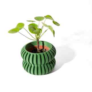 Vivid green 3D printed plant pot with textured ridges and a live plant.