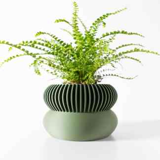 Vibrant green fern plant in a contemporary black and green decorative vase, perfect for modern interiors.
