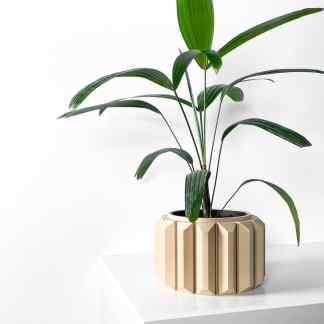 A lush green houseplant with broad leaves in a stylish beige geometric pot on a white surface for contemporary design.