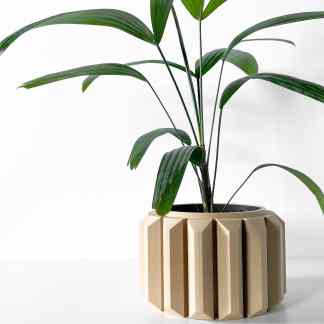 Beautiful indoor plant in stylish beige geometric pot for home decor.