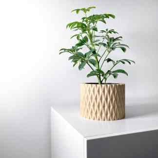 Healthy green houseplant in decorative planter, perfect for modern home décor.