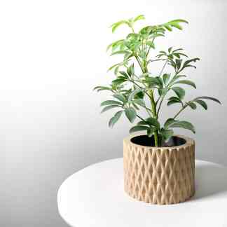 Detailed indoor plant display in stylish beige geometric planter on white table, modern home decor.