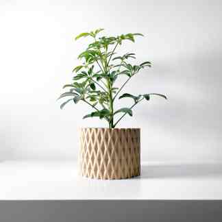 Vibrant green indoor plant in intricate 3D printed ceramic-looking planter.