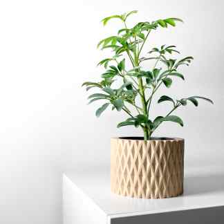 A lush green indoor plant in an intricate CAD-designed geometric planter, showcasing 3D printing artistry.