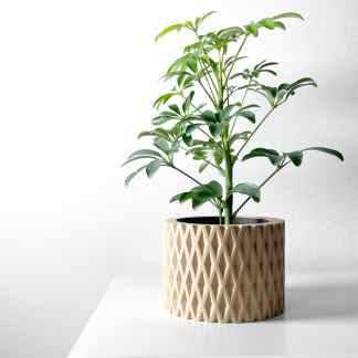 A green potted plant with lush leaves in a decorative beige ceramic pot, stylishly set against a white background.