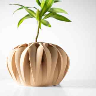 Modern 3D printed succulent planter showcasing creative geometric shape.
