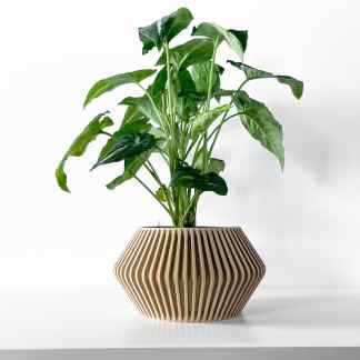 Vibrant green indoor plant in stylish wooden decorative pot.