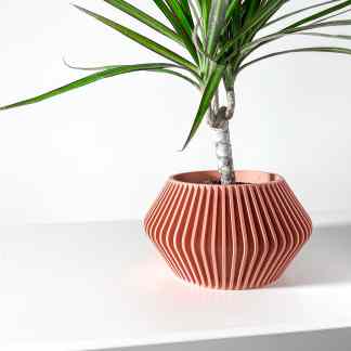 Stylish indoor plant in geometric pink planter, perfect for modern home interior decor.