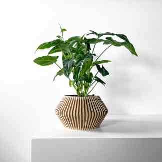 Bright image of a lush green houseplant in a stylish wooden pot.