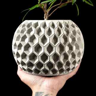 3D printed honeycomb-style plant pot with a green plant, innovative design and artistic appeal.
