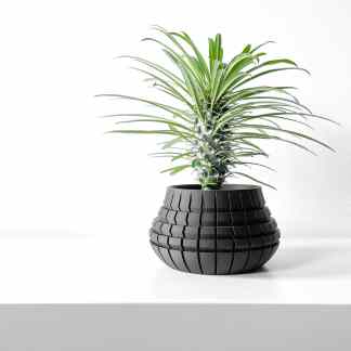 Vibrant green plant in a sleek black geometric planter, perfect for contemporary decor.