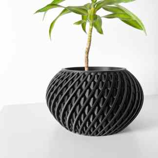 Detailed 3D-printed black vase with intricate spiral design, holding a vibrant green plant.