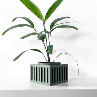 Vibrant green houseplant in sleek, modern geometric container for contemporary interior decor.