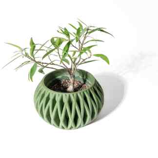 Vivid green plant in a contemporary 3D-printed ceramic-style pot, perfect for modern home decor.