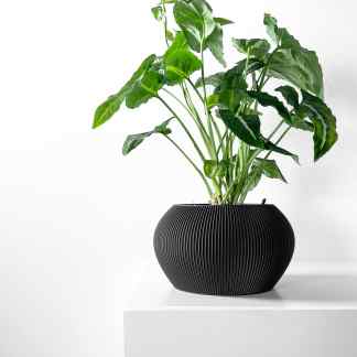 Indoor houseplant in black textured ceramic pot on white surface for stylish decor.