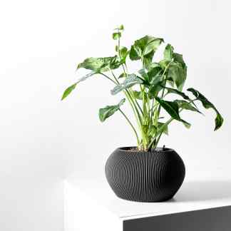 Black ribbed ceramic planter with lush green houseplant on white modern surface.