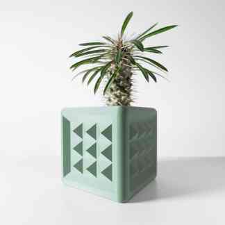 3D-printed geometric succulent planter for stylish home decor by AM Square 3D.