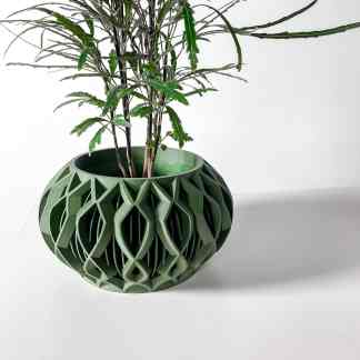3D printed vase with intricate geometric design and lush green plant.
