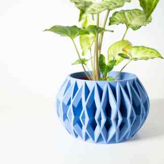 Bright green houseplant in detailed 3D-printed blue container.