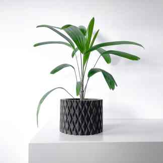 Indoor decorative green plant in modern black textured pot for home or office decor.