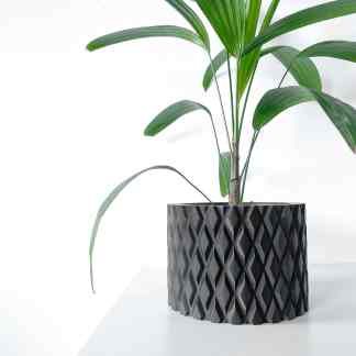 Indoor houseplant with lush green leaves in a stylish black geometric planter.