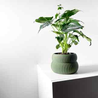 Potted green houseplant in contemporary textured ceramic planter, minimalist decor style.