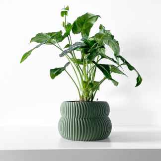 Green leafy plant in stylish textured green ceramic pot on white background.