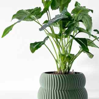 A lush green houseplant in a ribbed, sage-colored decorative pot, perfect for contemporary interior décor.