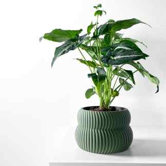 Vibrant indoor plant in textured green pot, perfect for contemporary home decor.