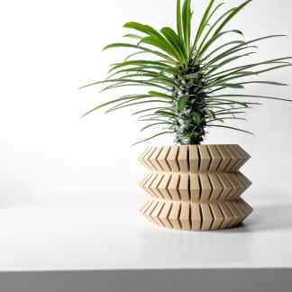 Vibrant green plant in a contemporary, layered wooden pot for stylish home decor.