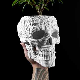 White skull-shaped planter with a plant, perfect for gothic or modern decor. Handheld with detailed skull design for unique home aesthetics.