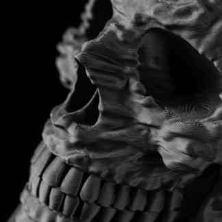 Highly detailed 3D printed skull with life-like design and artistic craftsmanship.