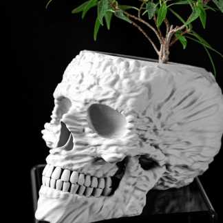Detailed 3D printed skull sculpture for modern interior design.