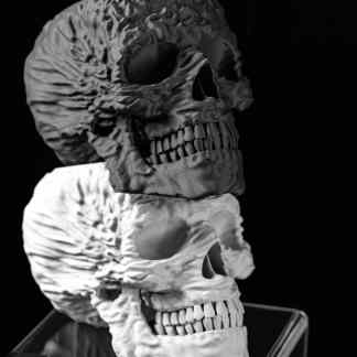 Intricate 3D printed skull sculpture in black and white, showcasing precision and creative craftsmanship.