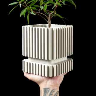 Indoor plant in contemporary 3D-printed geometric planter, ideal for eco-friendly home décor.