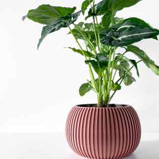 Green leafy indoor plant in stylish red ribbed ceramic pot for aesthetic home decor.