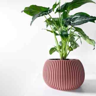 Vibrant green leafy plant in stylish textured pink ceramic pot, minimalistic background.