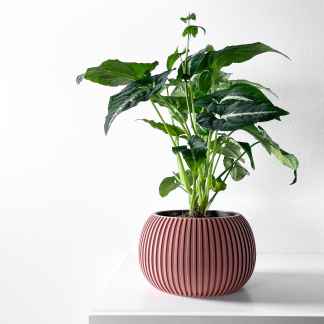A vibrant green houseplant in a stylish pink ceramic planter displayed on a white surface against a plain background.