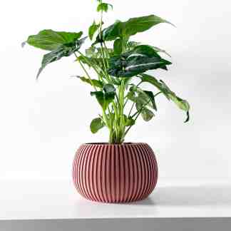 Vibrant green leafy plant in decorative red ceramic pot.