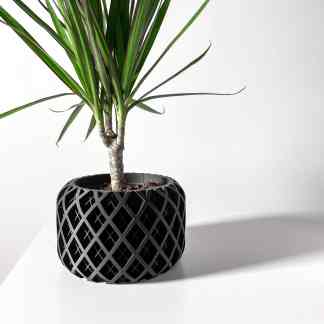 Stylish black lattice-patterned planter holding a lush green plant on white background.