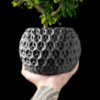 3D printed geometric plant pot for stylish indoor gardening.