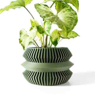 Modern 3D-printed decorative planter in green with lush variegated foliage, perfect for home decor.