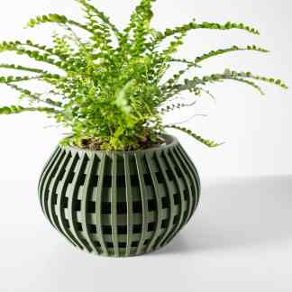 Detailed close-up of lush green fern in stylish, contemporary vase for home decoration.
